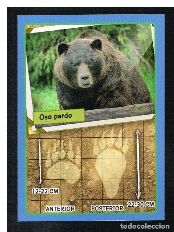 Coleccionismo cromos antiguos: ANIMALES 2013 - CROMO N&ordm; 34 - PANINI 2013 - Foto 1