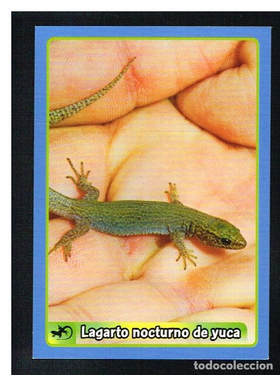 Coleccionismo cromos antiguos: ANIMALES 2013 - CROMO N&ordm; 367 - PANINI 2013 - Foto 1