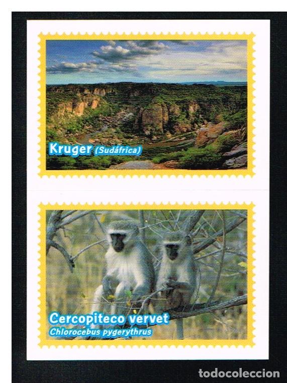 Coleccionismo cromos antiguos: ANIMALES 2013 - CROMO N&ordm; 516 - PANINI 2013 - Foto 1