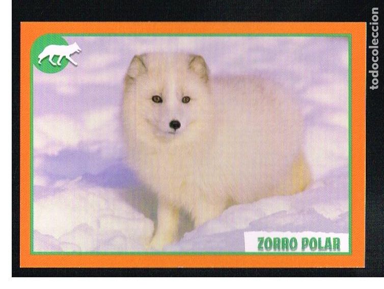 Coleccionismo cromos antiguos: ANIMALES 2012 - CROMO N&ordm; 70 - PANINI 2012 - Foto 1