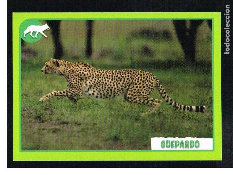 Coleccionismo cromos antiguos: ANIMALES 2012 - CROMO N&ordm; 138 - PANINI 2012 - Foto 1