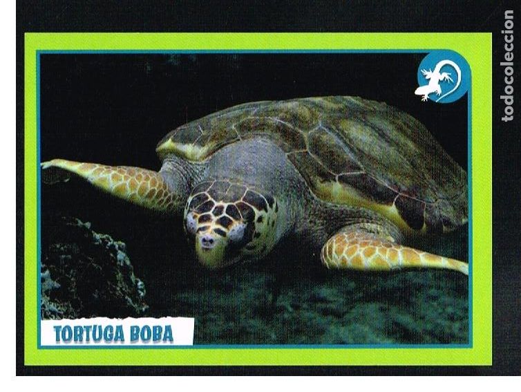 Coleccionismo cromos antiguos: ANIMALES 2012 - CROMO N&ordm; 173 - PANINI 2012 - Foto 1