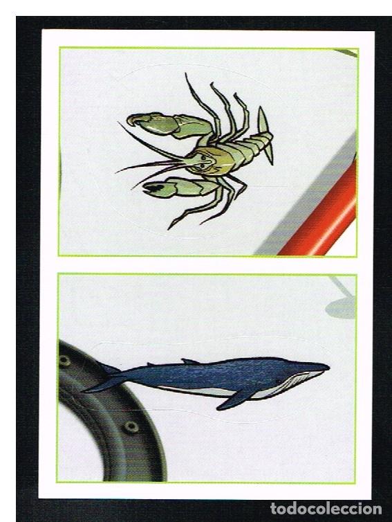 Coleccionismo cromos antiguos: ANIMALES 2012 - CROMO N&ordm; 182 - PANINI 2012 - Foto 1