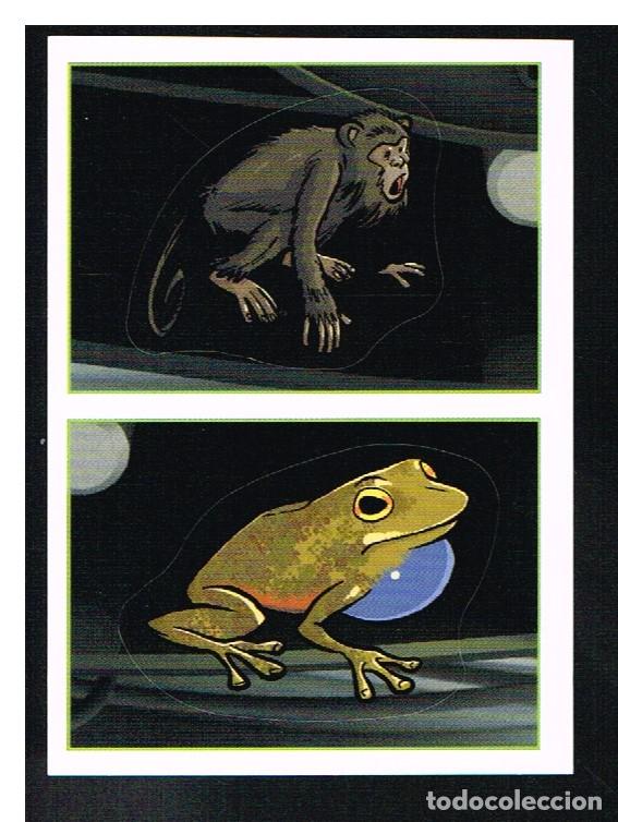 Coleccionismo cromos antiguos: ANIMALES 2012 - CROMO N&ordm; 184 - PANINI 2012 - Foto 1
