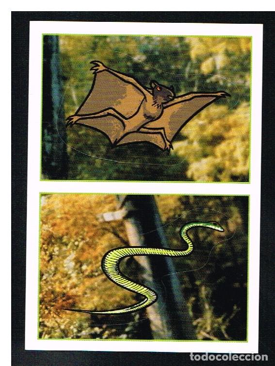 Coleccionismo cromos antiguos: ANIMALES 2012 - CROMO N&ordm; 187 - PANINI 2012 - Foto 1