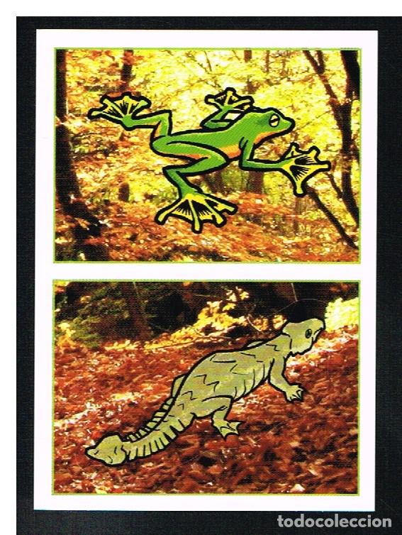 Coleccionismo cromos antiguos: ANIMALES 2012 - CROMO N&ordm; 192 - PANINI 2012 - Foto 1