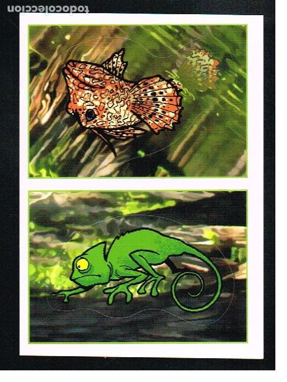 Coleccionismo cromos antiguos: ANIMALES 2012 - CROMO N&ordm; 203 - PANINI 2012 - Foto 1