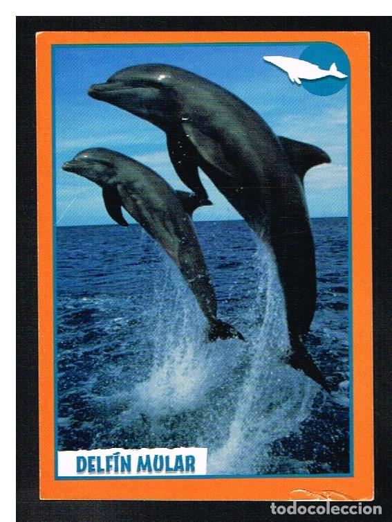 Coleccionismo cromos antiguos: ANIMALES 2012 - CROMO N&ordm; 271 - PANINI 2012 - Foto 1