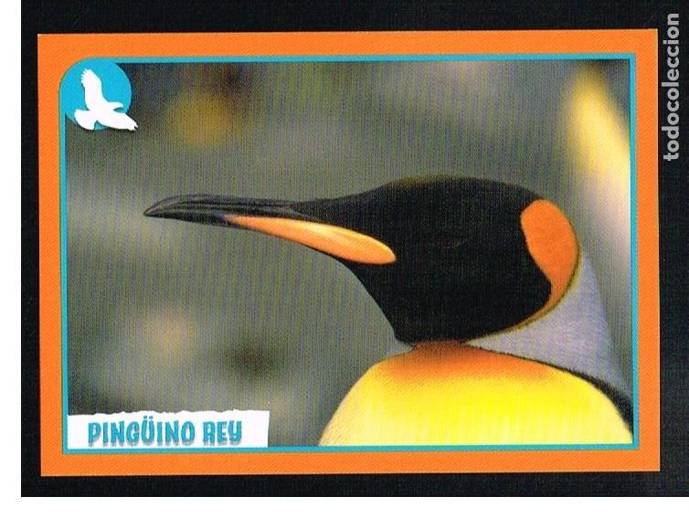 Coleccionismo cromos antiguos: ANIMALES 2012 - CROMO N&ordm; 286 - PANINI 2012 - Foto 1