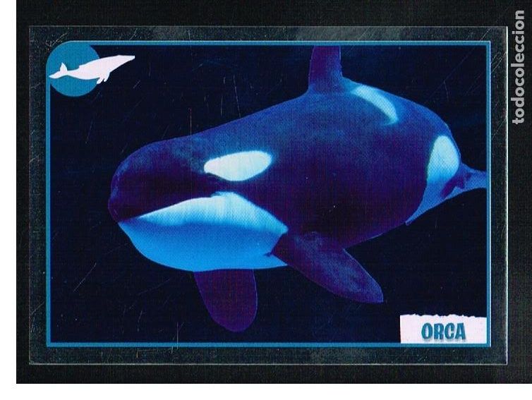 Coleccionismo cromos antiguos: ANIMALES 2012 - CROMO N&ordm; 320 - PANINI 2012 - Foto 1