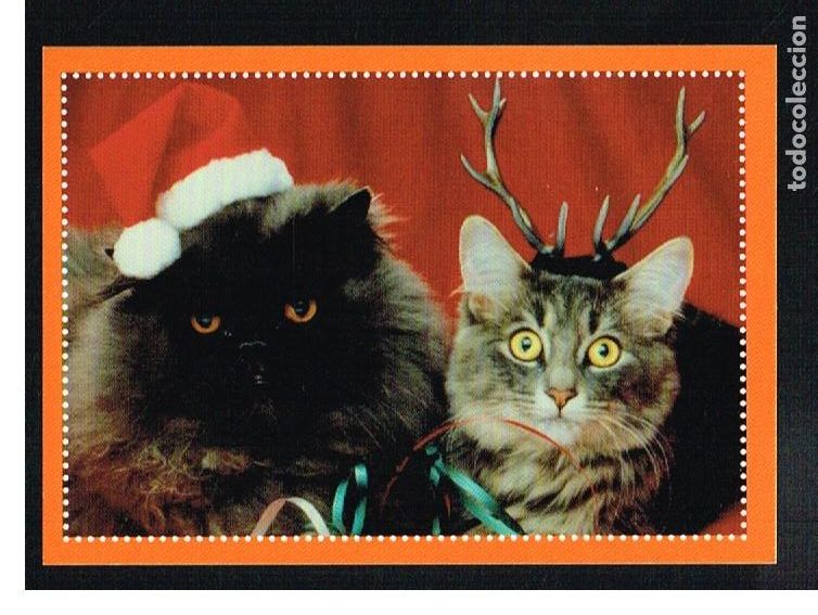 Coleccionismo cromos antiguos: ANIMALES 2012 - CROMO N&ordm; 325 - PANINI 2012 - Foto 1