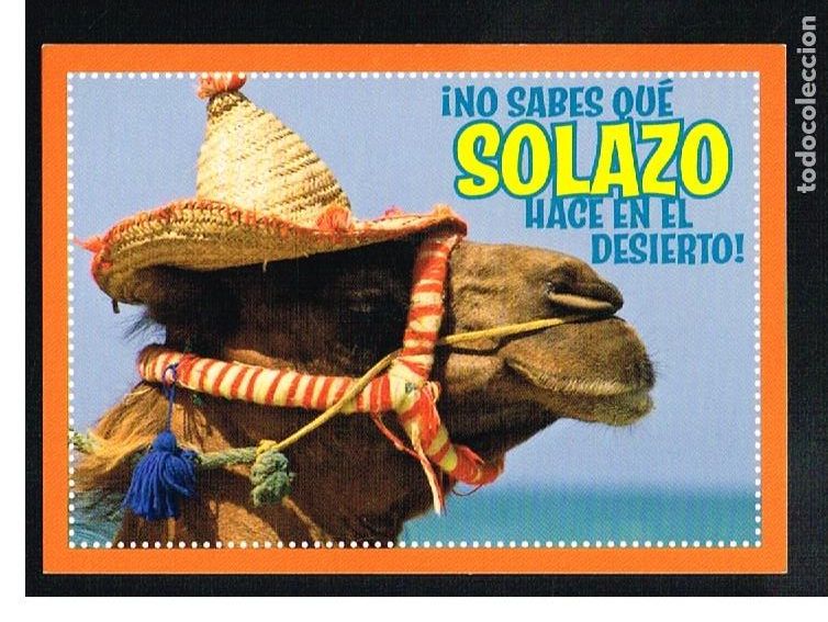 Coleccionismo cromos antiguos: ANIMALES 2012 - CROMO N&ordm; 342 - PANINI 2012 - Foto 1