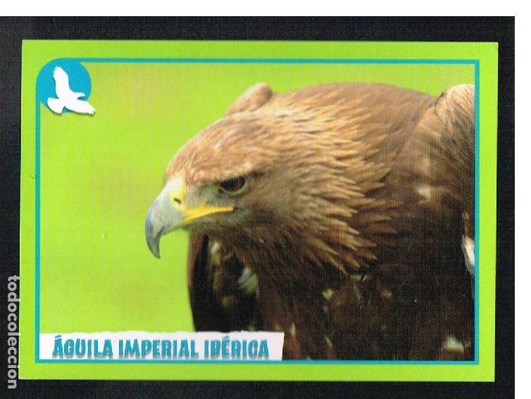 Coleccionismo cromos antiguos: ANIMALES 2012 - CROMO N&ordm; 360 - PANINI 2012 - Foto 1