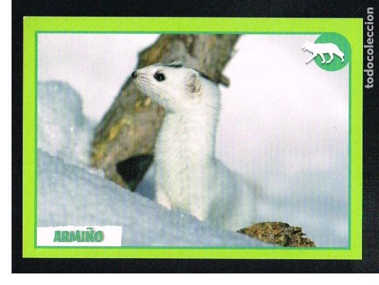 Coleccionismo cromos antiguos: ANIMALES 2012 - CROMO N&ordm; 371 - PANINI 2012 - Foto 1