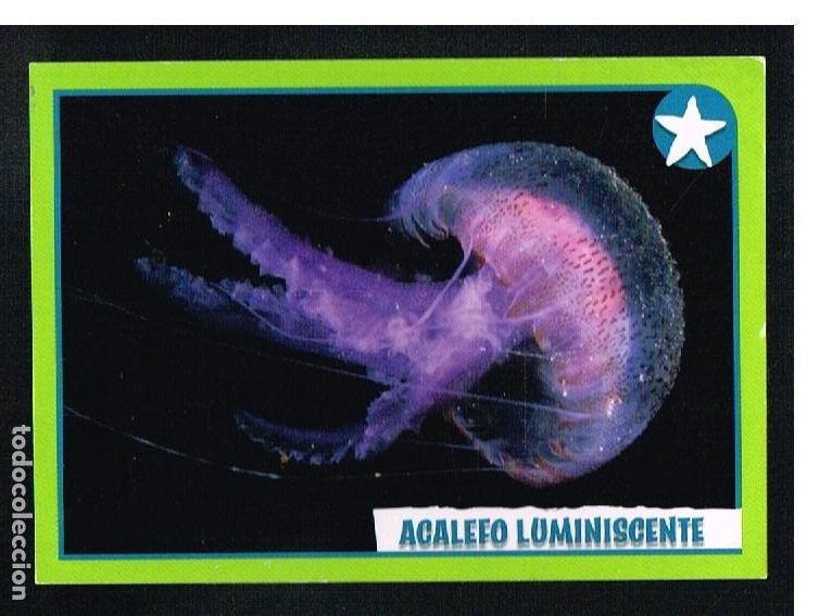 Coleccionismo cromos antiguos: ANIMALES 2012 - CROMO N&ordm; 410 - PANINI 2012 - Foto 1