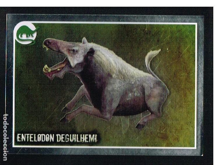 Coleccionismo cromos antiguos: ANIMALES 2012 - CROMO N&ordm; 448 - PANINI 2012 - Foto 1