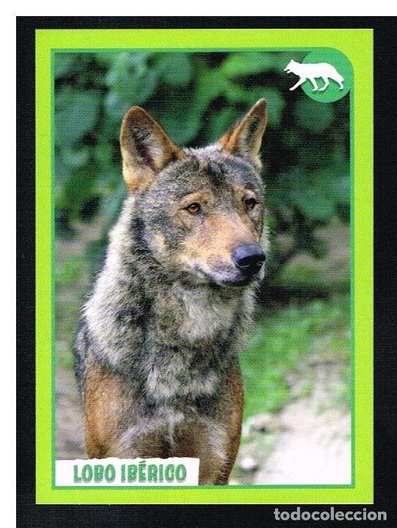 Coleccionismo cromos antiguos: ANIMALES 2012 - CROMO N&ordm; 355 - PANINI 2012 - Foto 1