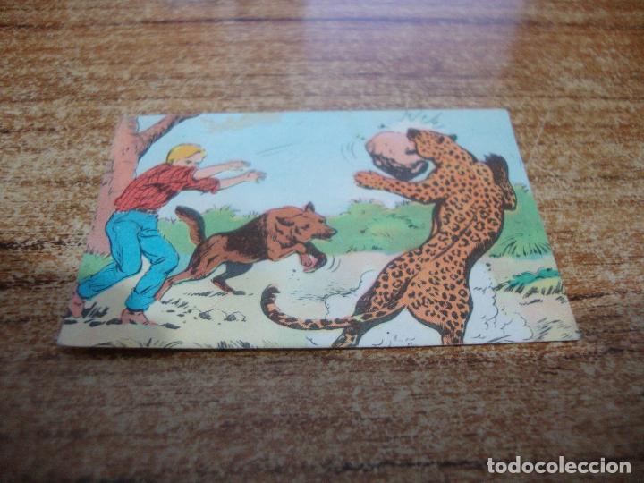 Coleccionismo cromos antiguos: CROMO RIN TIN TIN N&ordm; 87 - Foto 1