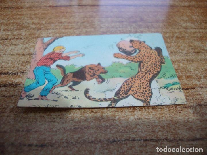 Coleccionismo cromos antiguos: CROMO RIN TIN TIN N&ordm; 87 - Foto 1