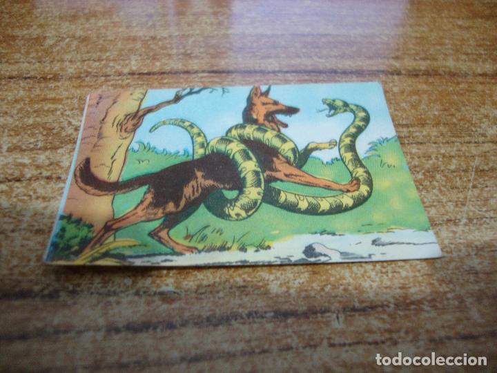 Coleccionismo cromos antiguos: CROMO RIN TIN TIN N&ordm; 38 - Foto 1