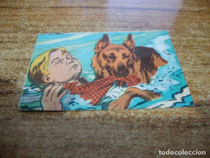 Coleccionismo cromos antiguos: CROMO RIN TIN TIN N&ordm; 46 - Foto 1