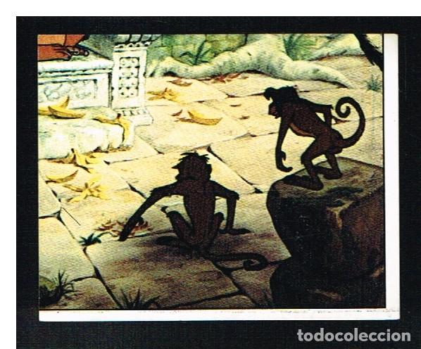 Coleccionismo cromos antiguos: EL LIBRO DE LA SELVA - CROMO N&ordm; 97 - PANINI - Foto 1