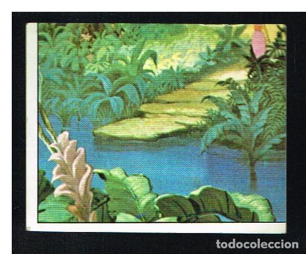 Coleccionismo cromos antiguos: EL LIBRO DE LA SELVA - CROMO N&ordm; 214 - PANINI - Foto 1