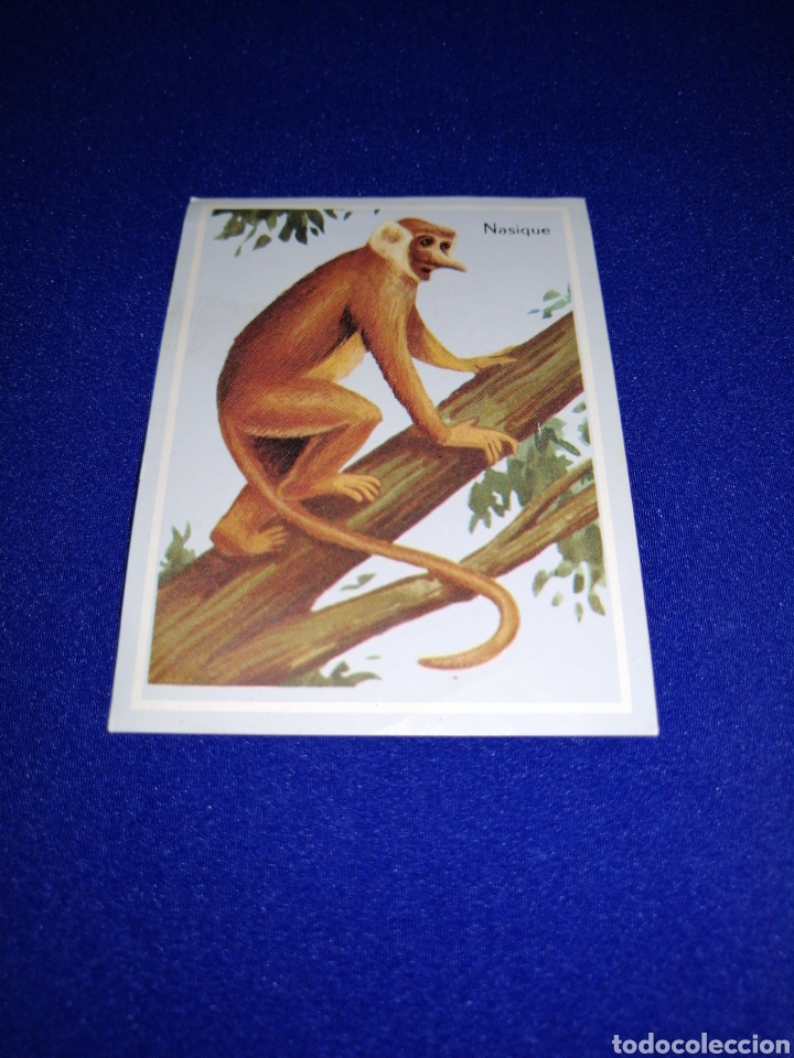 Collectable Antique Stickers: CAF&Eacute;S LE ROYAL