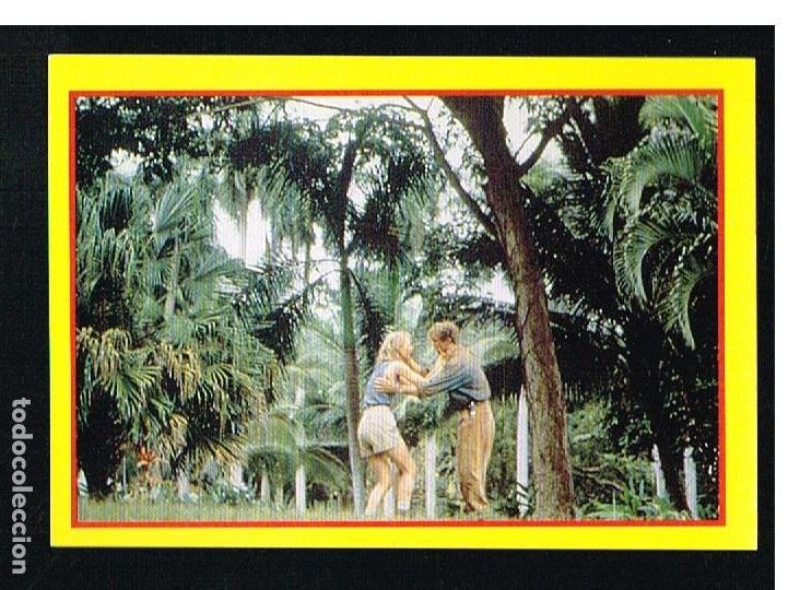Coleccionismo cromos antiguos: JURASSIC PARK - CROMO N&ordm; 207 - EDICIONES ESTE 1992 - Foto 1