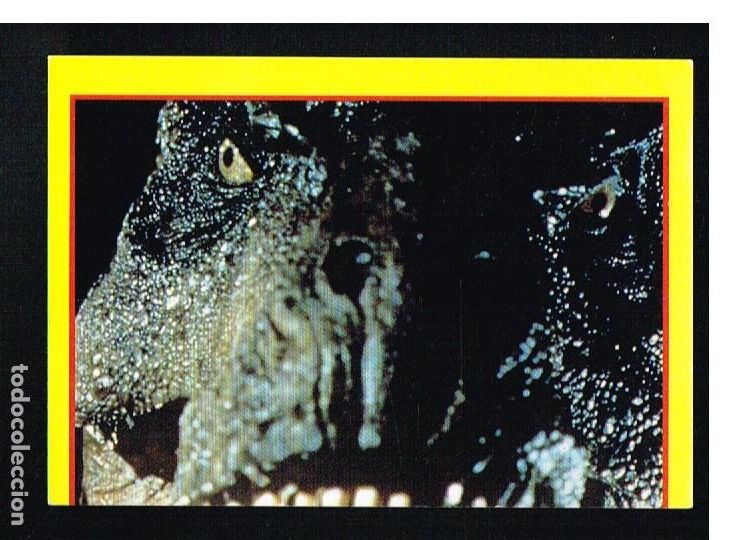 Coleccionismo cromos antiguos: JURASSIC PARK - CROMO N&ordm; 169 - EDICIONES ESTE 1992 - Foto 1