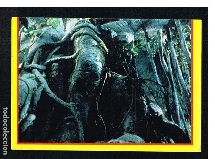 Coleccionismo cromos antiguos: JURASSIC PARK - CROMO N&ordm; 166 - EDICIONES ESTE 1992 - Foto 1