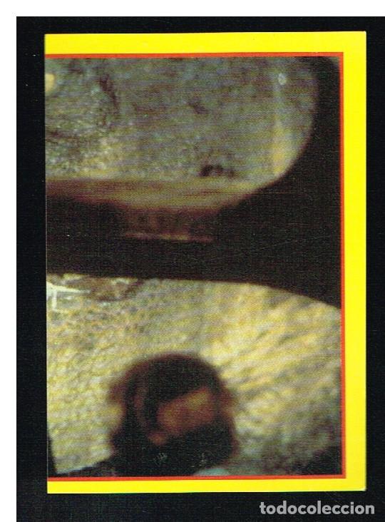Coleccionismo cromos antiguos: JURASSIC PARK - CROMO N&ordm; 134 - EDICIONES ESTE 1992 - Foto 1