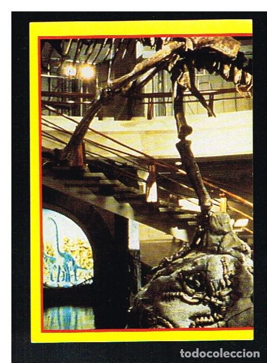 Coleccionismo cromos antiguos: JURASSIC PARK - CROMO N&ordm; 37 - EDICIONES ESTE 1992 - Foto 1