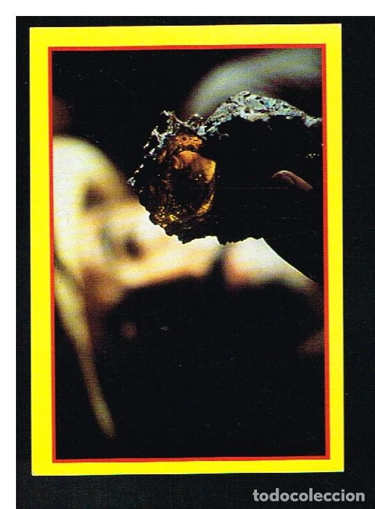 Coleccionismo cromos antiguos: JURASSIC PARK - CROMO N&ordm; 9 - EDICIONES ESTE 1992 - Foto 1