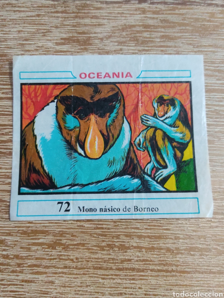 Coleccionismo cromos antiguos: Cromo Oceania Dunkin N&deg; 72 - Foto 1
