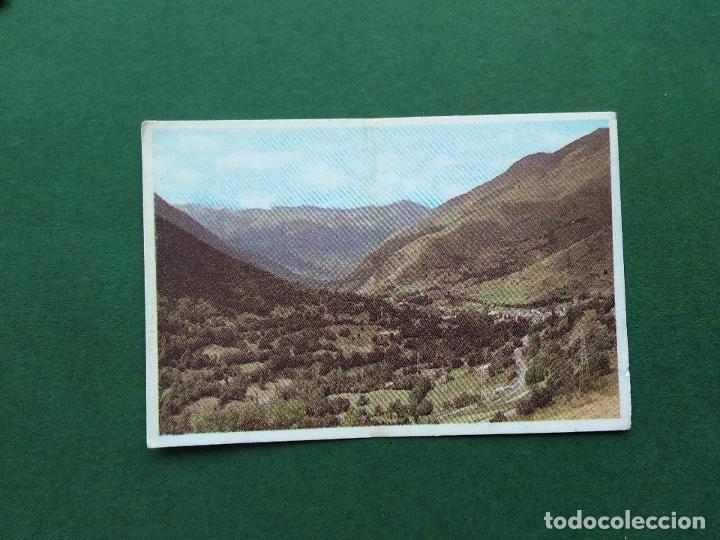 Colecionismo Cromos antigos: CROMOS CATALUNYA PAISATGE , FLORA I VEGETACIO CROMO NUNCA PEGADO N&ordm; 61