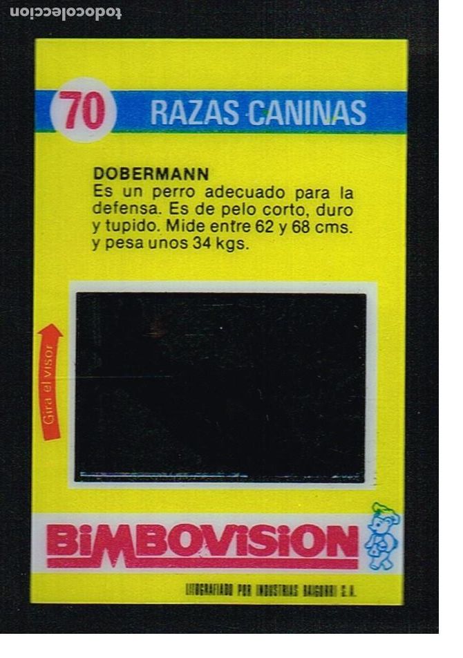 Coleccionismo cromos antiguos: BIMBOVISION - RAZAS CANINAS N&ordm; 70 - Foto 1