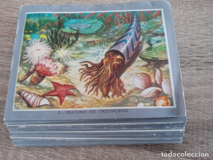 Coleccionismo cromos antiguos: VIDA Y COLOR 2 .44 CROMOS MAXI.del numero 2 al 192 - Foto 1