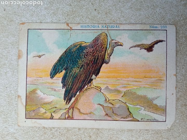 Coleccionismo cromos antiguos: HISTORIA DEL CACAO Y DEL CHOCOLATE - Foto 1