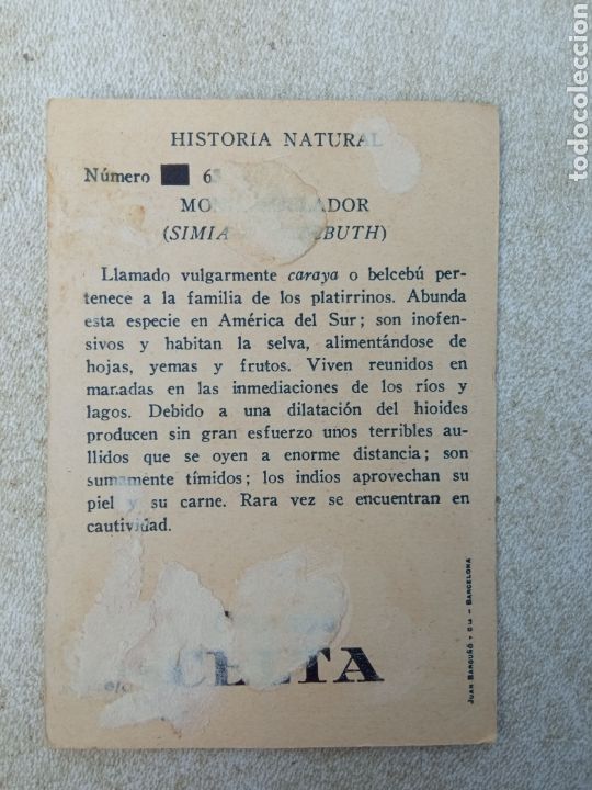Coleccionismo cromos antiguos: HISTORIA NATURAL,CHOCOLATES CELTA - Foto 2