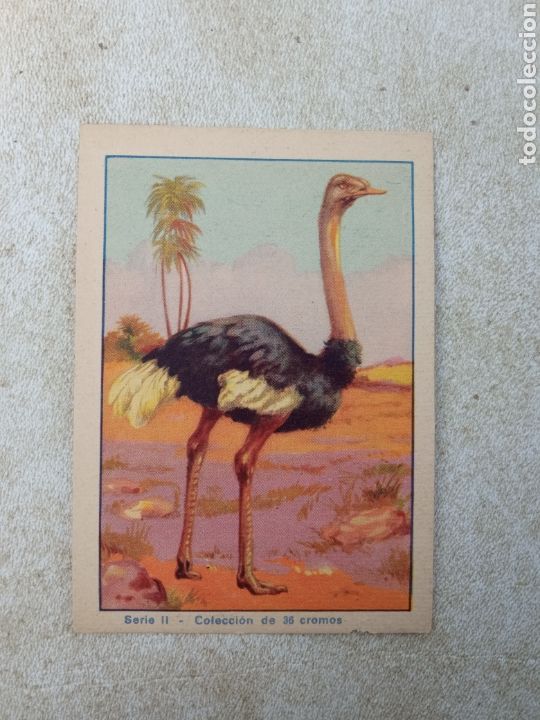 Coleccionismo cromos antiguos: HISTORIA DEL PROGRESO HUMANO - Foto 1