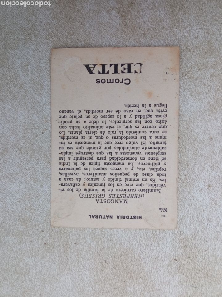 Coleccionismo cromos antiguos: HISTORIA NATURAL de CROMOS CELTA - Foto 2