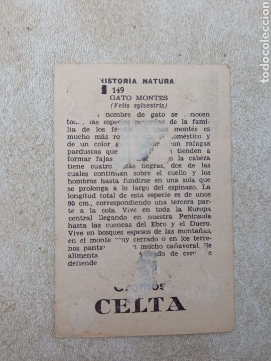 Coleccionismo cromos antiguos: HISTORIA NATURAL de CROMOS CELTA - Foto 2