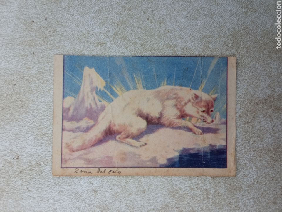 Coleccionismo cromos antiguos: HISTORIA NATURAL de CROMOS CELTA - Foto 1