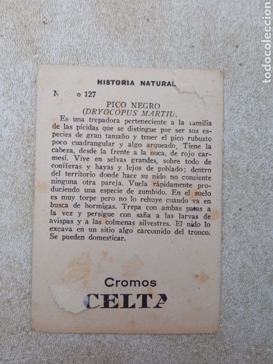 Coleccionismo cromos antiguos: HISTORIA NATURAL de CROMOS CELTA - Foto 2