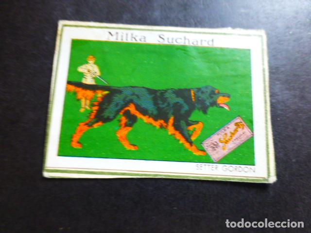 Coleccionismo cromos antiguos: PERRO CROMO CHOCOLATES SUCHARD A&Ntilde;OS 20 - Foto 1