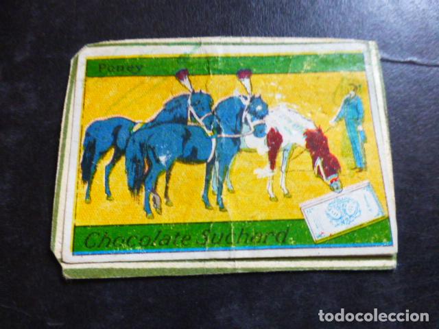 Collectionnisme Cartes &agrave; collectionner anciennes: HIPICA CABALLOS CROMO CHOCOLATES SUCHARD A&Ntilde;OS 20