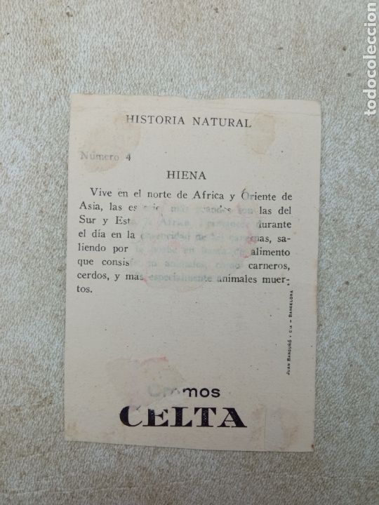 Coleccionismo cromos antiguos: HISTORIA NATURAL CROMOS CELTA - Foto 2