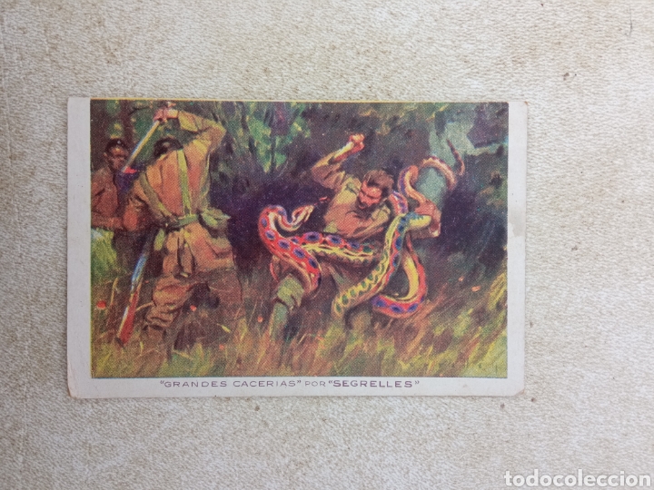 Coleccionismo cromos antiguos: HISTORIA NATURAL CROMOS CELTA - Foto 1
