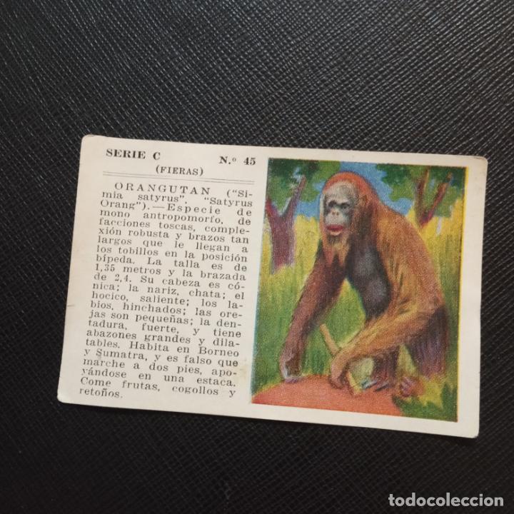 Sammeln alte Sammelbilder: ORANGUTAN FIERAS ALBUM UNIVERSAL CROMO EDICCIONES ESPA&Ntilde;A 1943 - SIN PEGAR - CC2 - 45